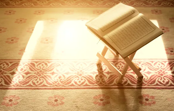 Picture light, holy, book, god, quran, islam, lord, mercy