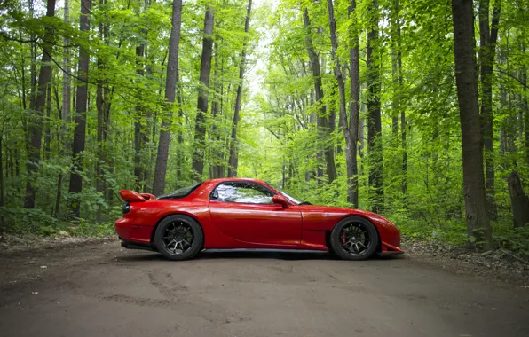 Picture road, forest, red, sports car, Mazda RX-7