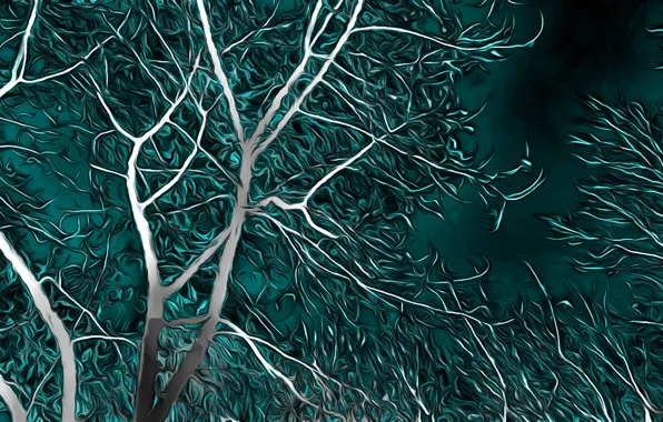 Picture night, rendering, tree, the wind, branch