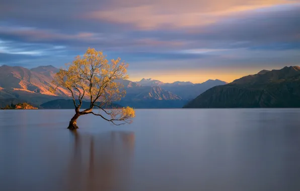Picture light, mountains, lake, tree, New Zealand