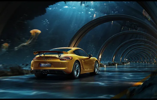 Picture Porsche, the tunnel, making of, Underwater road, Dmitriy Glazyrin