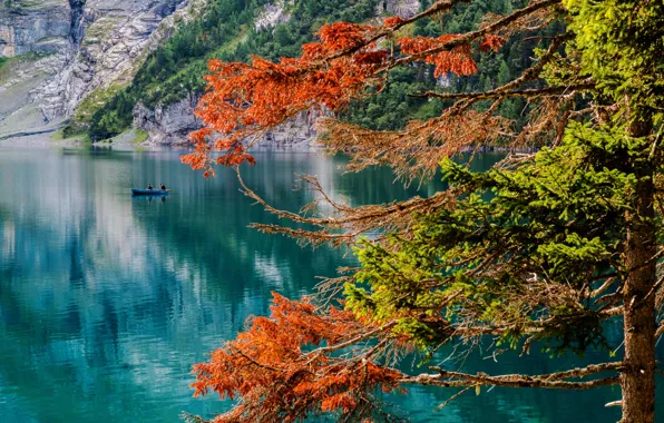 Picture autumn, lake, tree, boat, Switzerland, fishermen, Switzerland, lake Asinense, Oeschinen Lake, The Bernese Oberland, Bernese …
