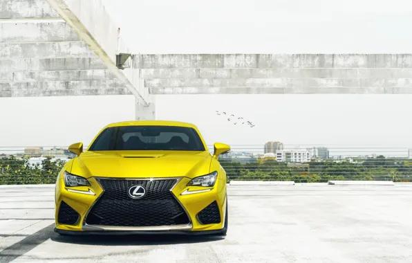 Picture car, Lexus, light, Yellow, RCF