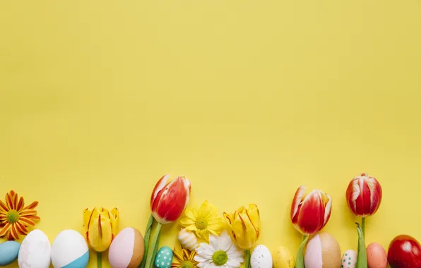 Picture flowers, eggs, Easter, tulips, Holiday, chrysanthemum