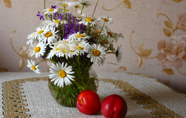 Picture flowers, table, apples, chamomile, red, vase, fruit, still life, tablecloth