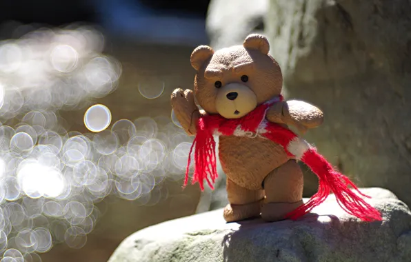 Picture background, toy, bear, scarf