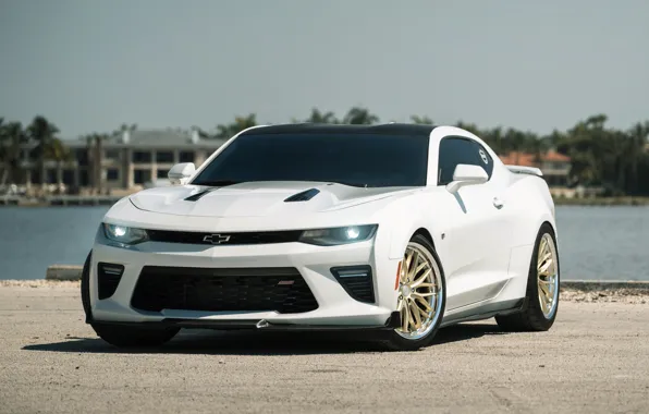 Picture Chevrolet, Camaro SS, tuning