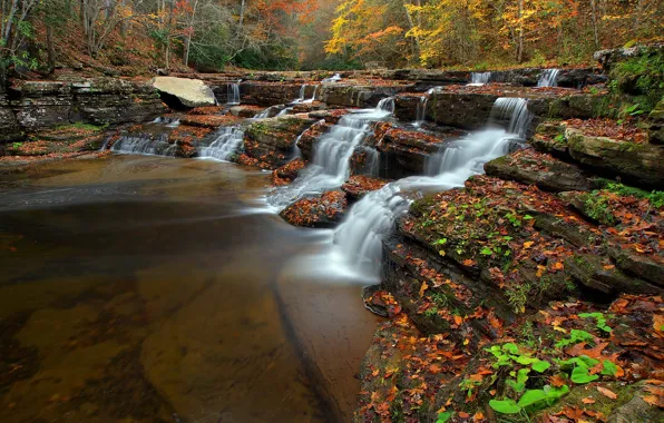 Picture autumn, forest, leaves, trees, river, stream, waterfall, USA, cascade