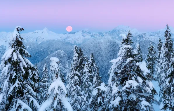 Picture winter, snow, mountains, the moon, the evening