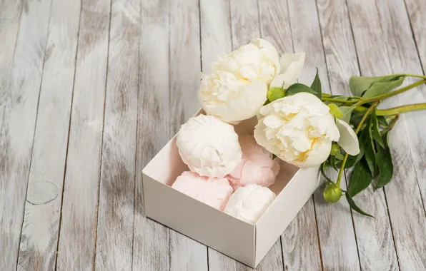 Picture white, flowers, romantic, peonies, marshmallows, peonies, valentine`s day