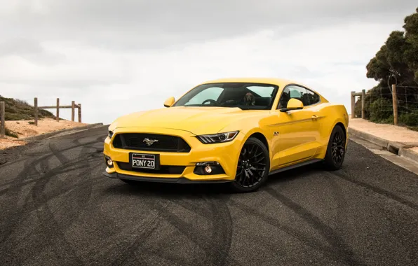 Picture yellow, Mustang, Ford, Mustang, Ford