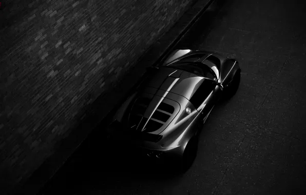 Picture night, Lotus, sports car, Requires, Lotus Exige, black and white photo