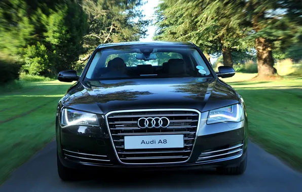 Picture road, trees, speed, Audi-A8