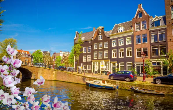Picture bridge, river, spring, Amsterdam, flowering, bridge, blossom, Amsterdam, flowers, old, spring, buildings, Netherlands, canal