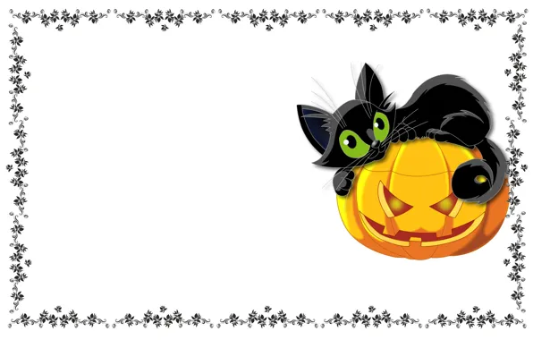 Picture cat, holiday, pattern, art, pumpkin, Halloween, children's