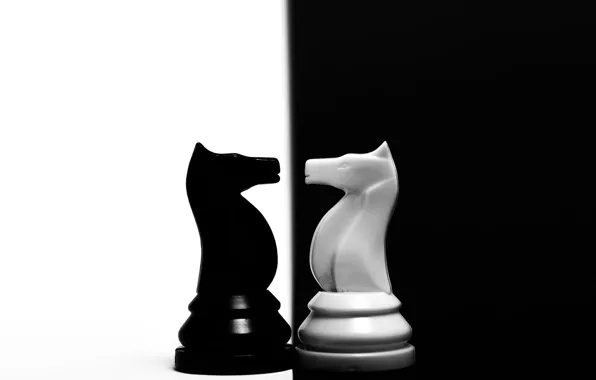 Picture horse, chess, figure, contrast