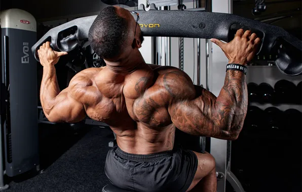 Picture muscles, glasses, back, tattoos, training, Bodybuilder