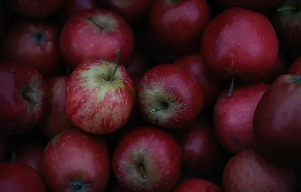 Picture apples, texture, fruit