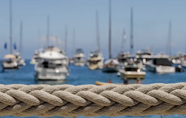 Picture macro, yachts, boats, rope, harbour
