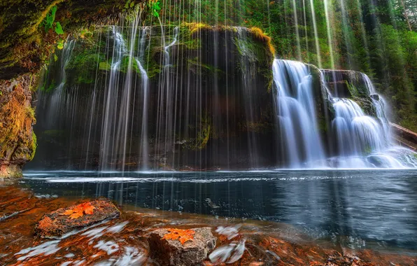 Picture trees, lake, stones, rocks, waterfall, stream, USA, Washington, Skamania