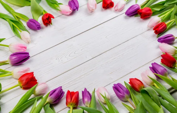 Picture flowers, colorful, tulips, red, white, wood, flowers, tulips, spring, purple
