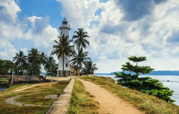Picture sea, tropics, palm trees, coast, lighthouse, Sri Lanka, Galle