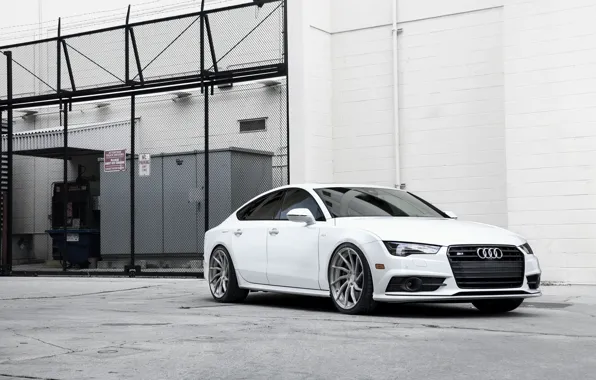 Picture Audi, White, Titanium