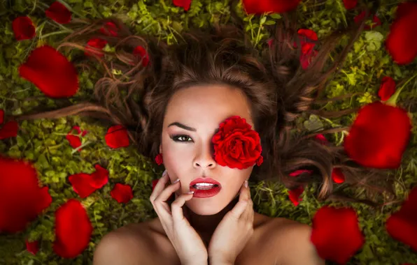 Picture flower, look, girl, face, hair, rose, hands, makeup, petals