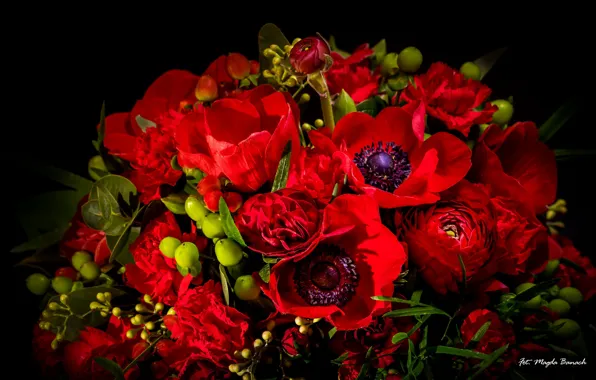 Picture red, Tulip, bouquet, carnation, Ranunculus, anemone