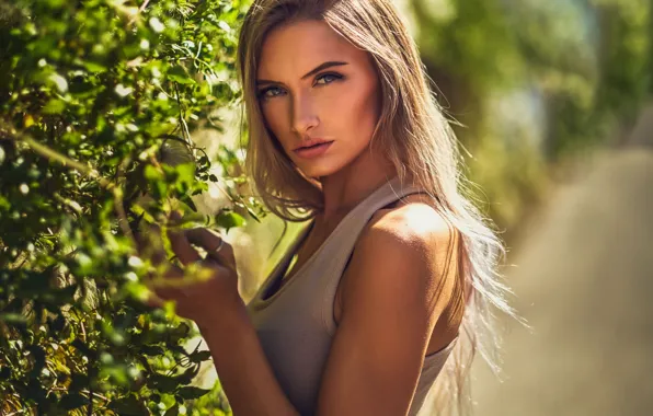 Picture greens, look, girl, the sun, portrait, makeup, Mike, hairstyle, blonde, beautiful, bokeh