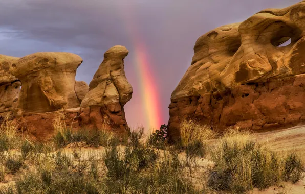 Picture rocks, rainbow, Utah, USA, Grand Staircase-Escalante, state reserve