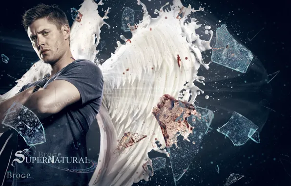 Picture look, wings, Dean, Supernatural, Supernatural