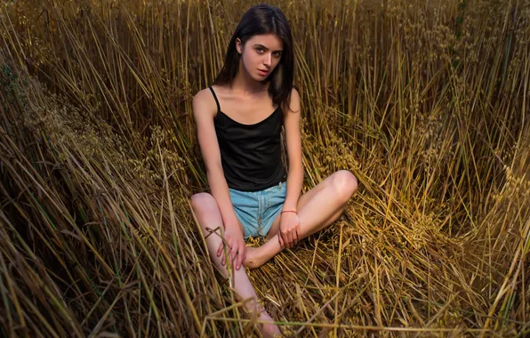 Picture field, look, girl, pose, Cyril Zakirov