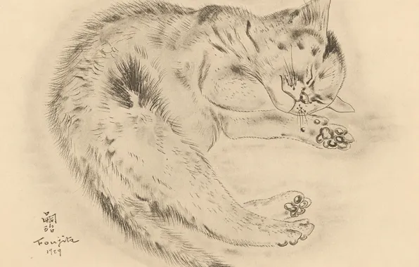 Picture cat, fluffy, sleeping, cutie, 1929, Tsuguharu Foujita, The Book Of Cats