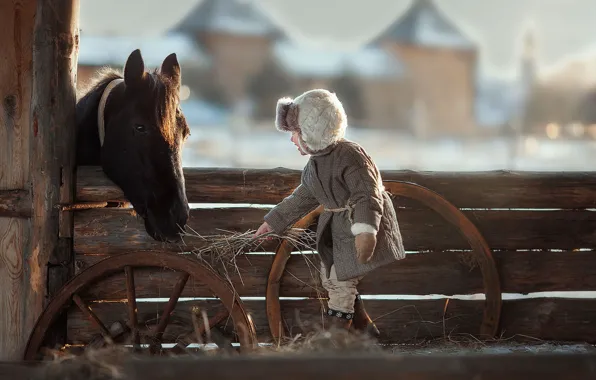 Picture winter, joy, horse, the fence, boy, hay, feeding