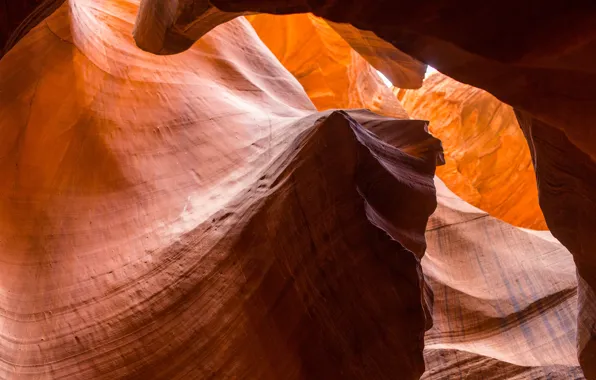 Picture light, canyon, AZ, USA, America, relief, Antelope canyon