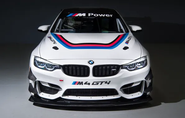 Picture racing car, front view, 2018, GT4, BMW M4