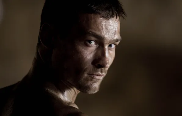 Picture look, face, Spartacus, Andy Whitfield