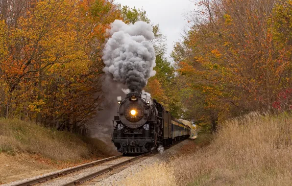 Picture autumn, forest, train
