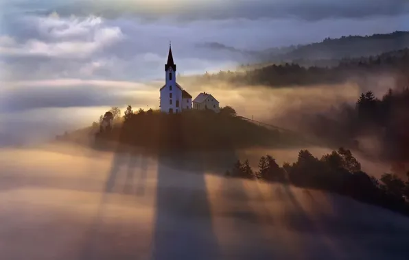 Picture forest, light, fog, morning, Church