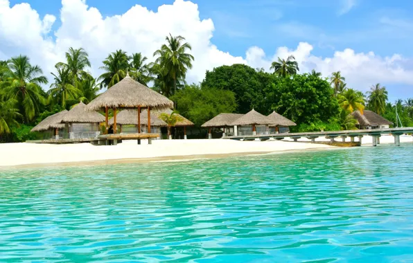 Picture beach, tropics, palm trees, the ocean, resort, white sand, Maldives, Bungalow