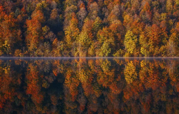Picture autumn, forest, trees, lake, reflection, France, France, Franche-Comte, Franche-Comté