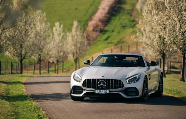 Picture trees, Roadster, Mercedes-Benz, supercar, AMG, 2018, GT C