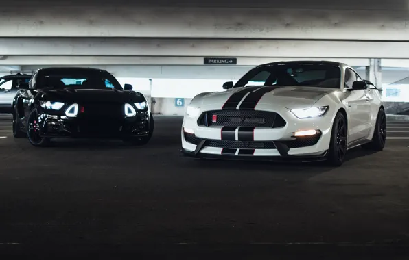 Picture Mustang, Ford, Black, Lights, White, Muscle Cars