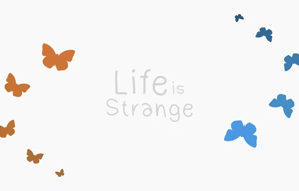 Picture Butterfly, Square Enix, Game, Life Is Strange