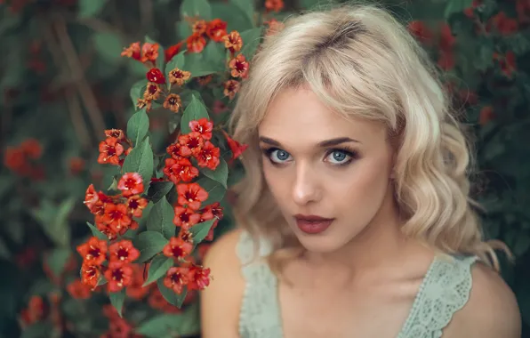 Picture look, girl, face, portrait, blonde, flowers, Weigela, iBi Photo, Kasia Katie's Old