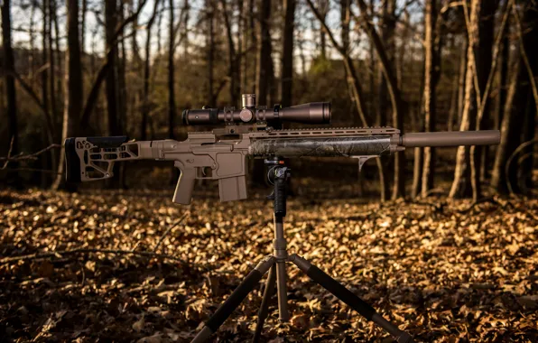 Picture background, optics, sniper rifle, MK36H