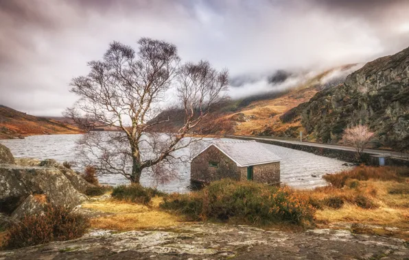 Picture mountains, lake, house, stones, tree, Wales