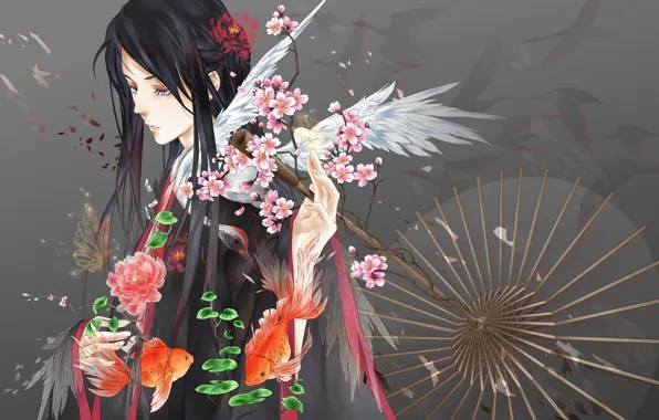 Picture fish, wings, branch, umbrella, petals, Sakura, guy, grey background, long hair, Japanese clothing, art, storks, …
