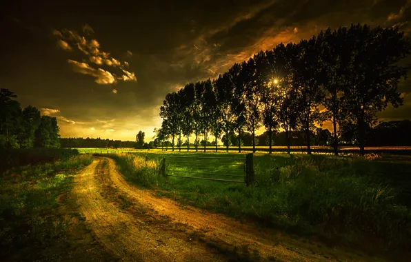 Picture road, grass, clouds, trees, landscape